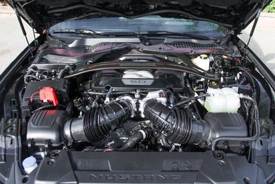 2024 Ford Mustang Dark Horse