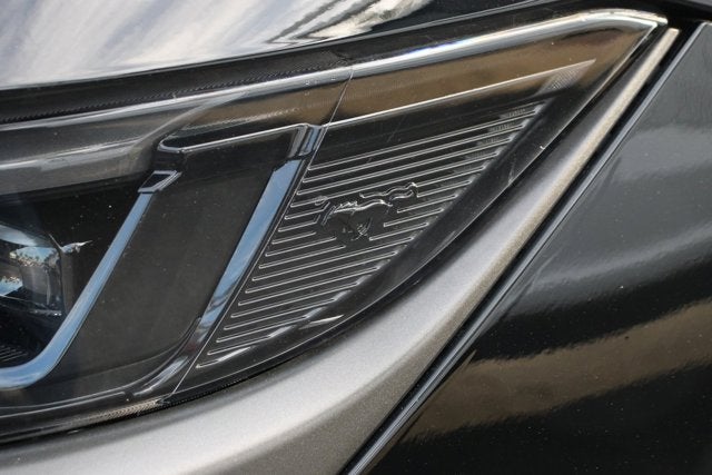 2024 Ford Mustang Dark Horse