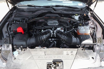 2024 Ford Mustang Dark Horse