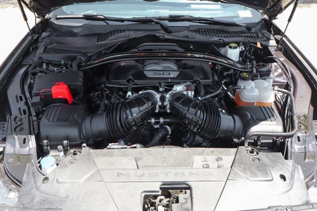 2024 Ford Mustang Dark Horse