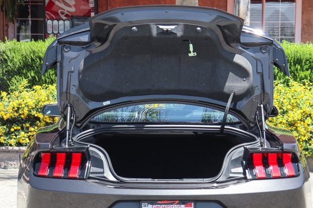 2024 Ford Mustang Dark Horse
