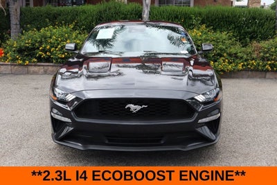 2023 Ford Mustang EcoBoost