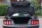 2023 Ford Mustang EcoBoost