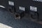 2023 Ford F-650SD Base