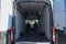 2023 Ford Transit-350 Base