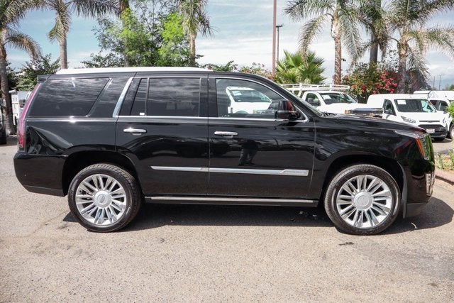 2019 Cadillac Escalade Platinum Edition