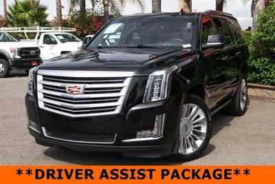 2019 Cadillac Escalade Platinum Edition