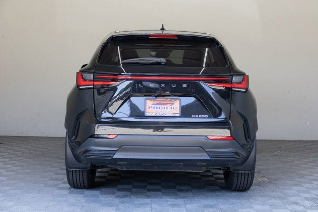2023 Lexus NX 250 Base