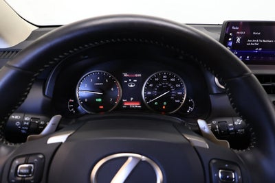 2020 Lexus NX 300h
