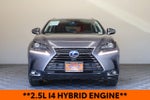 2020 Lexus NX 300h