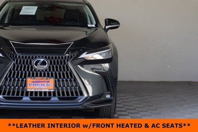 2024 Lexus NX 350h Premium