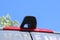 2022 Mercedes-Benz Sprinter 2500 Cargo 144 WB