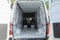 2023 Mercedes-Benz Sprinter 2500 Cargo 170 WB