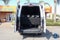 2024 Mercedes-Benz Sprinter Passenger Van Passenger 170 WB